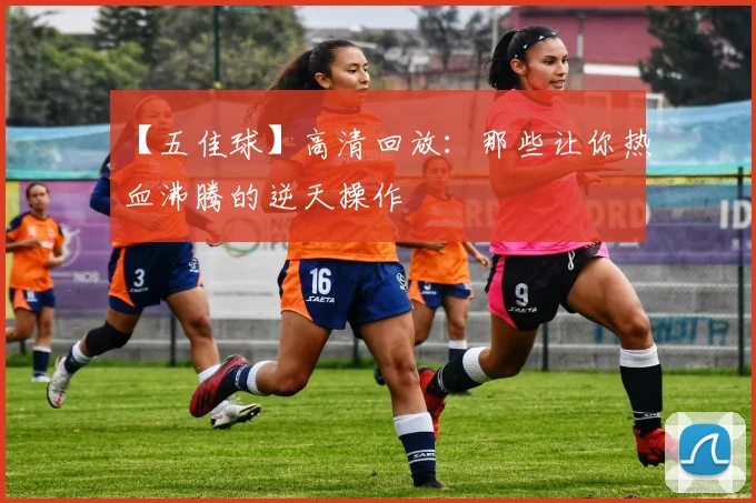 【五佳球】高清回放:那些让你热血沸腾的逆天操作