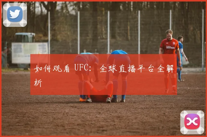 如何观看 UFC：全球直播平台全解析