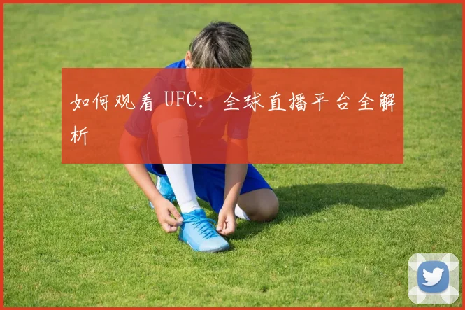 如何观看 UFC:全球直播平台全解析