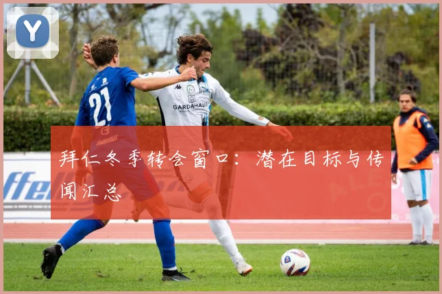 拜仁冬季转会窗口:潜在目标与传闻汇总